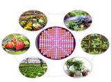 50W Indoor Plants LED Growing Light Full Spectrum Round Plant Grow Lamp V1294-YM0901-ZM01984-04