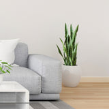 SOGA 4X 97cm Sansevieria Snake Artificial Plants with Black Plastic Planter Greenery, Home Office APLANTFH9712X4