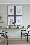 Set 4 Flora & Fauna Framed Prints 76cm V637-20826