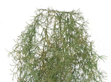 Artificial Air Plant Spanish Moss UV Resistant 100cm V637-DP1020999