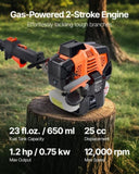 Gas Pole Saw, 25CC 2 Stroke Gas Powered Pole Saws 30.5 cm Cutting Bar, Cordless Tree Trimmer V952-ECCYJCS12INCAT18E002V0