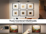 Picture Lights for Wall, Battery Operated Picture Light 16in Gallery Light for Paintings CCT V1171-CB-TR-BPL-1-USB-RM-40CM