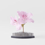 Kenzan Ikebana Pin Base 7.6cm Fan V637-U2121