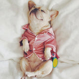 Dog Stain Silk Pajamas Clothes,Button Down Short Sleeve Dog Shirts Loungewear Puppy Pjs for Yorkie V1189-WXFWAL-20260319-01630