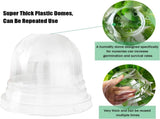 25 Pack Seedling Pots with Lids 9x14cm Reusable Mini Greenhouse Grow Trays for Propagation V1258-DP02-BOL-805