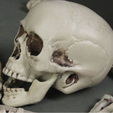 28Pcs Halloween Skeleton Bones Halloween Props Skeleton Tricky Bones Haunted House Party Decorations V1294-YM0717-10036888