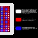 Grow Lights for Indoor Plants Full Spectrum 216 LEDs 3 Modes Large Coverage for Plant Growth V1294-YM0901-H48458US