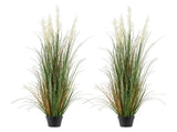 Artificial Grass Plant, 2 Pack 1499mm Faux Reed Flower Grass in Pot, Premium PVC Fake Greenery V952-DPKLWHLS59IND2ABK001V0
