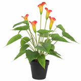 Artificial Flowering White & Orange Peace Lily / Calla Lily Plant 50cm V637-DP1128563