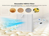 24PCS Replacement Parts Compatible with Q7 M5/ Q7 M5/Q7 L5/Q7 L5, 2 Main Brushes, 6 Side Brushes, V1258-DP02-WO-547