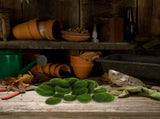 Green Simulation Moss Rocks for Indoor and Outdoor Use - Lifelike Appearance V1369-AZ3-W-16560