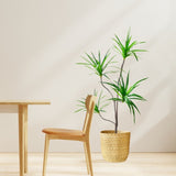 SOGA 2X 180cm Realistic Artificial Dracaena, Rubberised Silk Cloth Iron Wire, Home Decor APLANTFHBS180120X2