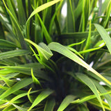 Artificial Ornamental Potted Dense Green Grass UV Resistant 38cm V637-DP1043004
