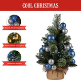 61cm Blue Collection Tabletop Pre-Lit Christmas Tree 112_SENBC102