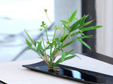 12 Pcs Mini Flower Frog 0.9",Stainless Steel Ikebana,Flower Frogs for Arrangements,Table Number V1369-AZ3-W-17967