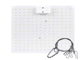 Plant Lamp LED Succulent Fill Light 50W Full Spectrum Plant Grow Light Quantum Plate V1294-YM0901-L6913UK-1