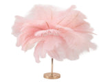 Feather Table Lamp 3 Color Dimmable Touch Switch USB Plug in Romantic Modern Decorative Bedside V1294-YM0521-3119230059413