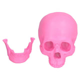 Resin Halloween Skull Decor Festival Home Props Fake Whole Person Skull Ornaments Pink V1294-YM0523-3115210185511