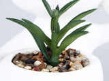 3pcs Simulated Succulent Pot Ceramic Creative Realistic Artificial Succulent Pot for Desktop V1294-YM0901-3115240022411