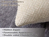 18" x 18" Decorative Throw Pillow with Inserts, Set of 2 Soft Modern Farmhouse Weave Pattern Throw V1258-DP02-C-3207