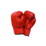 Free-Standing Boxing Set: PU Punching Ball & Boxing Gloves V196-BST180