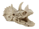 Resin Dinosaur Triceratops Skull Model Simulated Skeleton Home Office Display Decorative Craft V1294-YM0901-JY06511