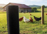 30m Black Chicken Wire Mesh Roll Heavy Duty Aviary Netting & Garden Fencing for Poultry Enclosures V63-952941