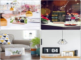 20-Pack Natural Wood Card Holders with Double-Sided Adhesive Dots for Photos, Postcards and Place V1188-MS-731-097