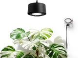TR40 Hanging Grow Lights for Indoor Plants, 40W 5000K Full Spectrum, Adjustable Beam Angle V1258-DP02-C-853