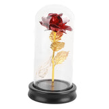 24K Gold Plated Rose Flower LED Light with Glass Cover Base Valentines'Day Wedding Gift Red V1294-YM0727-JY15089-01