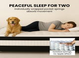 KINGSTON SLUMBER RelaxMax 31cm King Single Mattress, Medium, Euro Top, 5-Zone, Pocket Spring, V219-BEDMATKSST2A