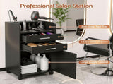 Artiss Professional Salon Station Rolling Cart, Hair Styling Beauty Cabinet with 2 Drawers & 2 FUR-AD-SAL-01-BK