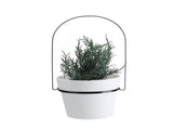 Detachable Chain Hanging Flower Pot Iron Art Hanging Flower Pot V1294-YM0715-211123DY01-2