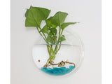 1 Set Fish Tank Decorative Wall Mounted Hanging Flower Vase-Transparent V1263-JX-446