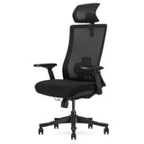 Lifespan Fitness DM9 Ergonomic Mesh High Back Office Chair V572-LFOC-DM9BK-1