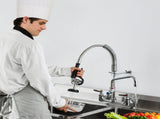 Commercial Faucet with Pre-Rinse Sprayer, 21" Height, 8" Center, 12" Swing Spout, Wall Mount Kitchen V952-BGSYCXSLTBGS9X3ACV0