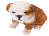 English Bulldog Puppy Statue Lifelike Resin Bulldog Sculpture for Garden Lawn Porch Decoration V1294-YM0703-3111230093412