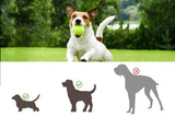 Dog Ball Launcher Thrower Automatic Tennis Fetch Throwing Machine with 3 Balls -Light Green V1263-JX-6251-3