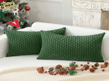 Holzlrgus Fall Set of 2 Striped Textured Velvet Corduroy Decorative Europe Sham Seasonal Autumn V1189-WXFWAL-20260319-01279