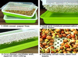 Tutuviw BPA Free Hydroponics Soilless Seeds Sprouter Microgreen Seed Sprouter Trays Seed Germination V1189-WXFWAL-20260319-01183