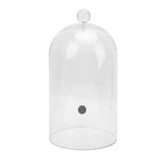 Smoking Cloche Dome Cover Lid for Food Drinks Acrylic Transparent Cocktail Smoker Dome Accessory V1294-YM0901-3113240269613