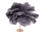 Ostrich Feather Table Lamp Rechargeable Modern Romantic Decoration Lamp Bedroom Bedside Lamp for V1294-YM0703-3119230059315