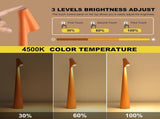 Portable LED Table Lamp 13.5" H Touch Control, 3 Brightness Levels, Rechargeable Desk Light for V1107-CS-GJTDC