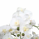 Large Multi-Stem White Potted Faux Orchid 65cm V637-DP1018513