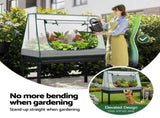 Green Fingers Elevated Metal Garden Bed Kit w Mini Greenhouse Cover 116x60cm Stand-Up Height Trellis GARDEN-AG-80-COVER