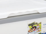 Cooler Box 10L EPS Highly Efficient with Handle Insulated Cooler for Camping Picnic Fishing V1294-YM0901-3111240172112