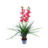 100cm Faux Artificial Home Decor Potted Cymbidium-Red/White - White V915-MB0028-WH