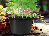 5 Gallon 12 Inch Plastic Nursery Pots, Plant Containers with Drainage Holes, Round Sturdy Garden V1258-DP02-C-1473