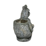 Snail Tortoise Planter W Hole & Plug 38x31cm V637-49454SNL