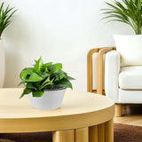 Large Resin Indoor Plant Pot Lightweight Round Planter for Living Room Plants V1369-AZ3-W-14187